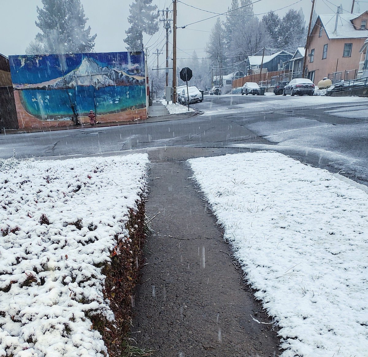 Destiny22Ginger's tweet photo. Good Snowy Monday #PresidentsDay 2026.
#ItsSnowing here in the #SierraNevada and I'm going to try and monitor this snowstorm predicted to be a monster.
This is after appx 1 hour of snow taken at 7am.
#SierraSnow
Tahoe Truckee Donner Mammoth must be a mess right now. https://t.co/iqmDm3gHfy