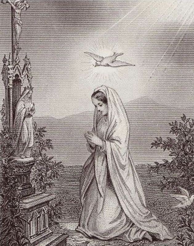 «Él derramará sobre ti sus bendiciones y será tu defensor, tu consolador, tu Redentor y tu recompensa en la eternidad»

~Santa Clara de Asís