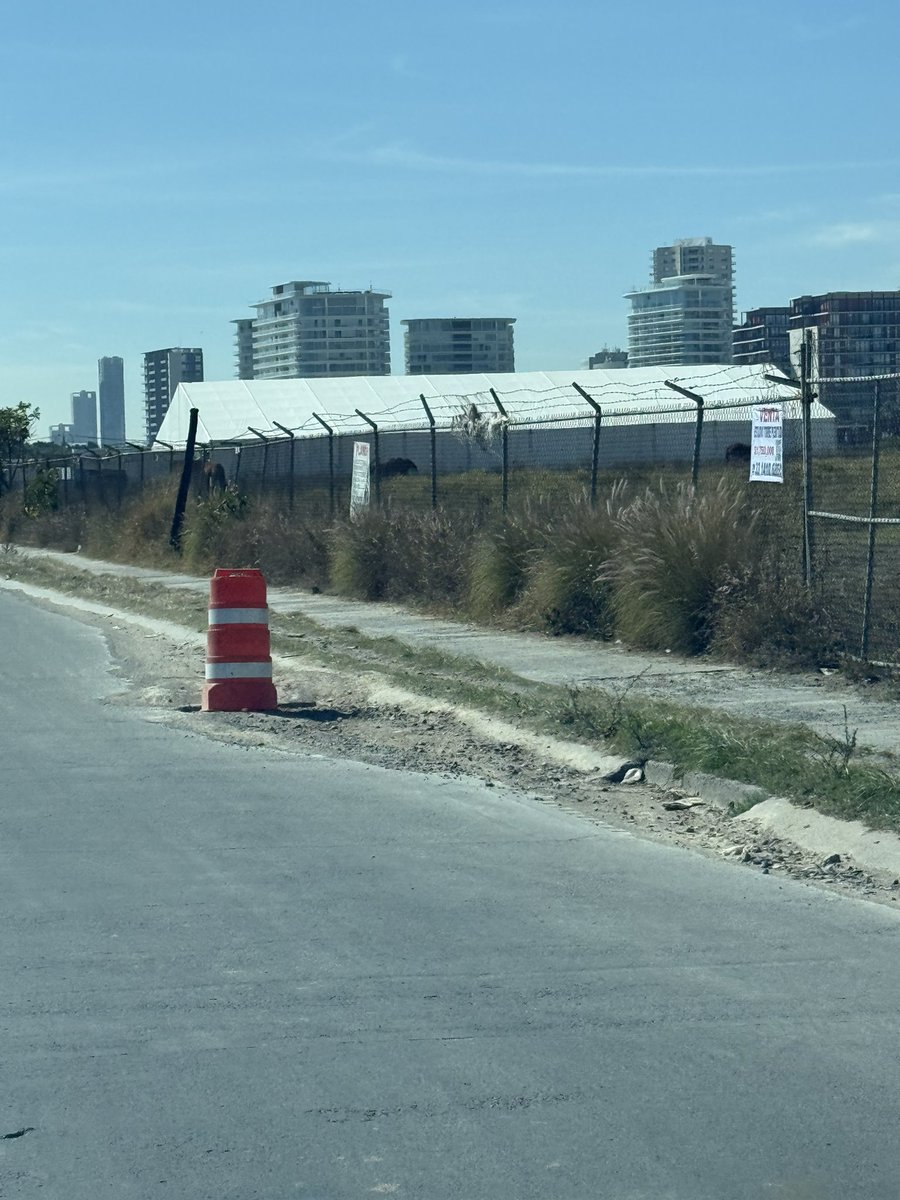 JaimedeAlba tweet media