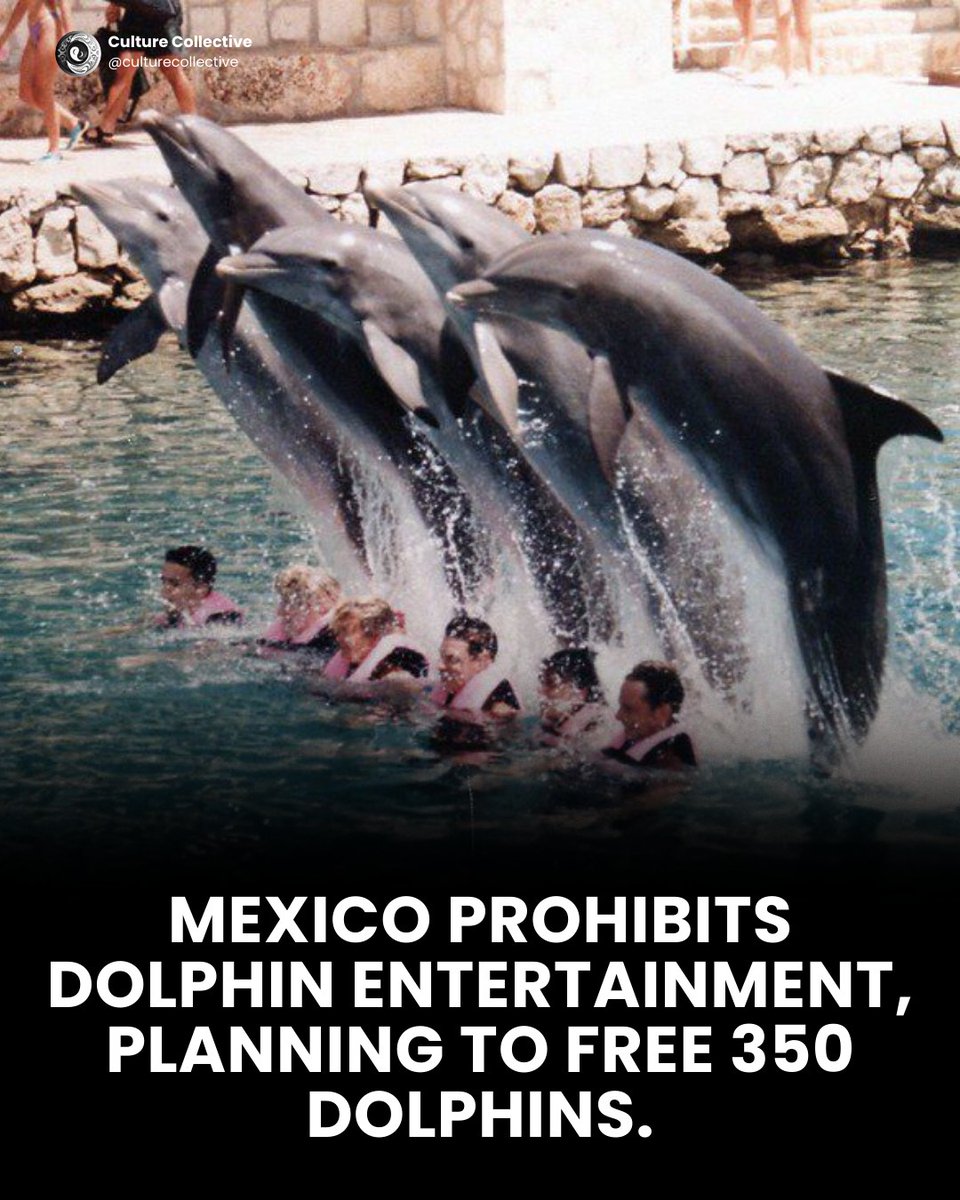 kirkrhoads's tweet photo. #SetThemAllFree https://t.co/NNSh5bPjFt