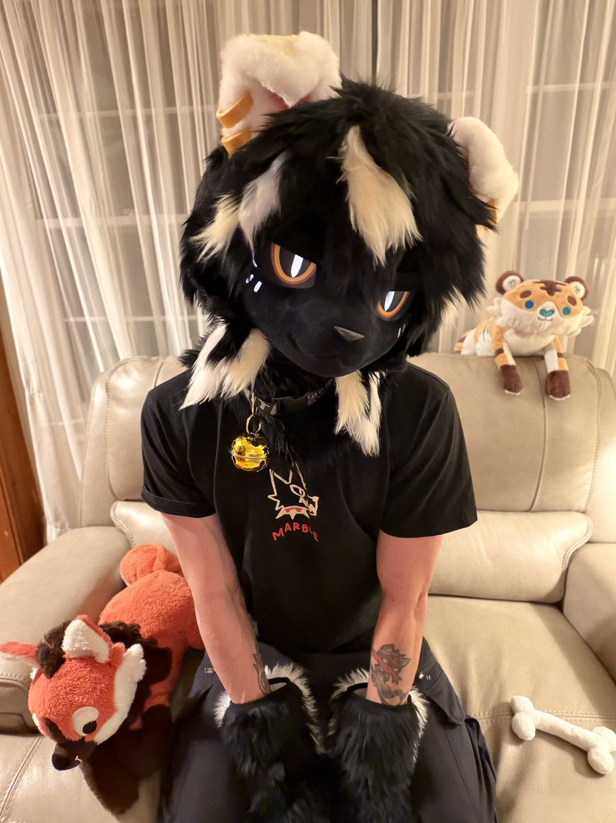 𝘽𝙡𝙞𝙭𝙯𝙮 🐾 tweet media