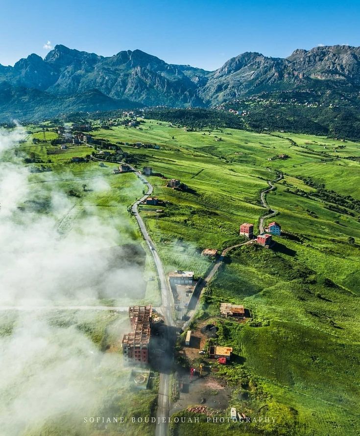 ℓιdуα tweet media