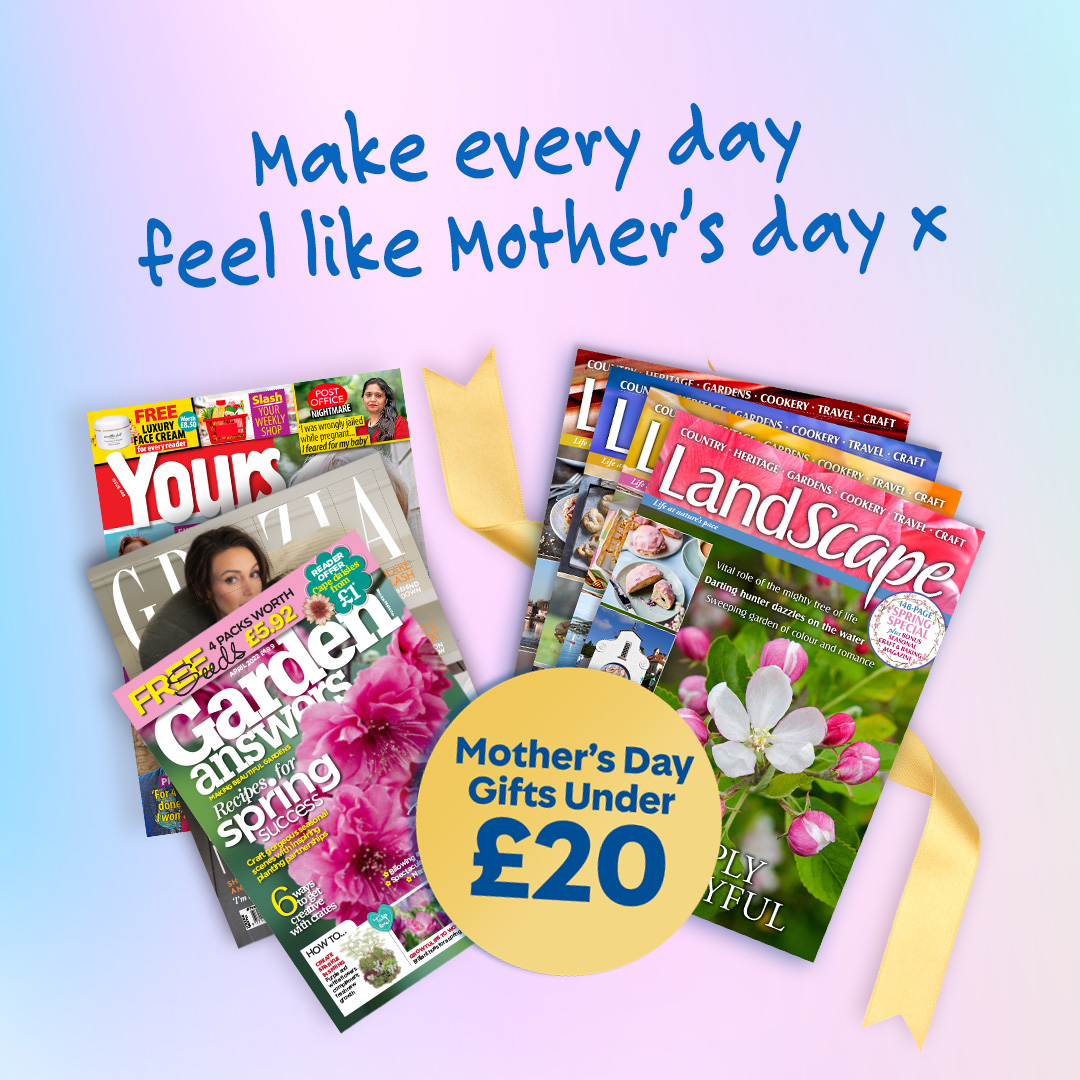 Total TV Guide tweet media