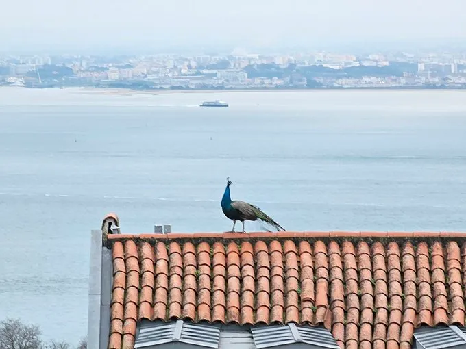 Andrew Spence tweet media