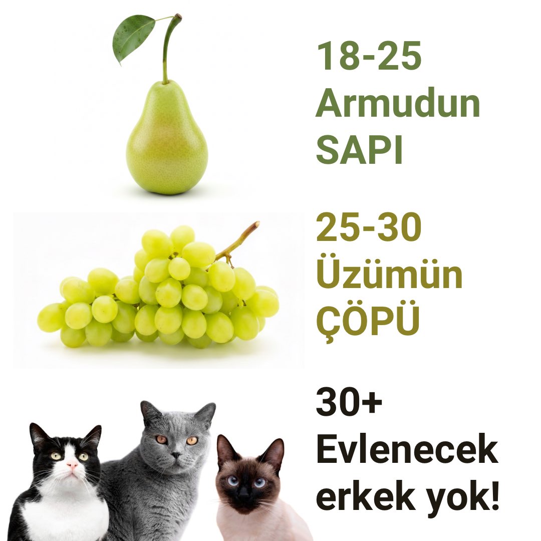 Öyle bir geçirir zaman ki