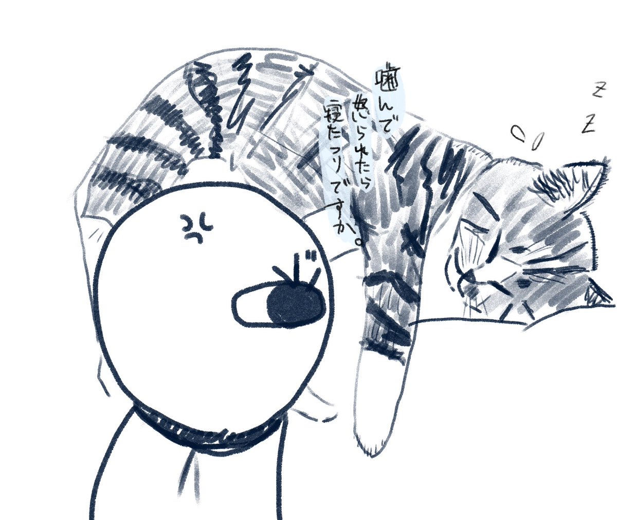 ねこ 