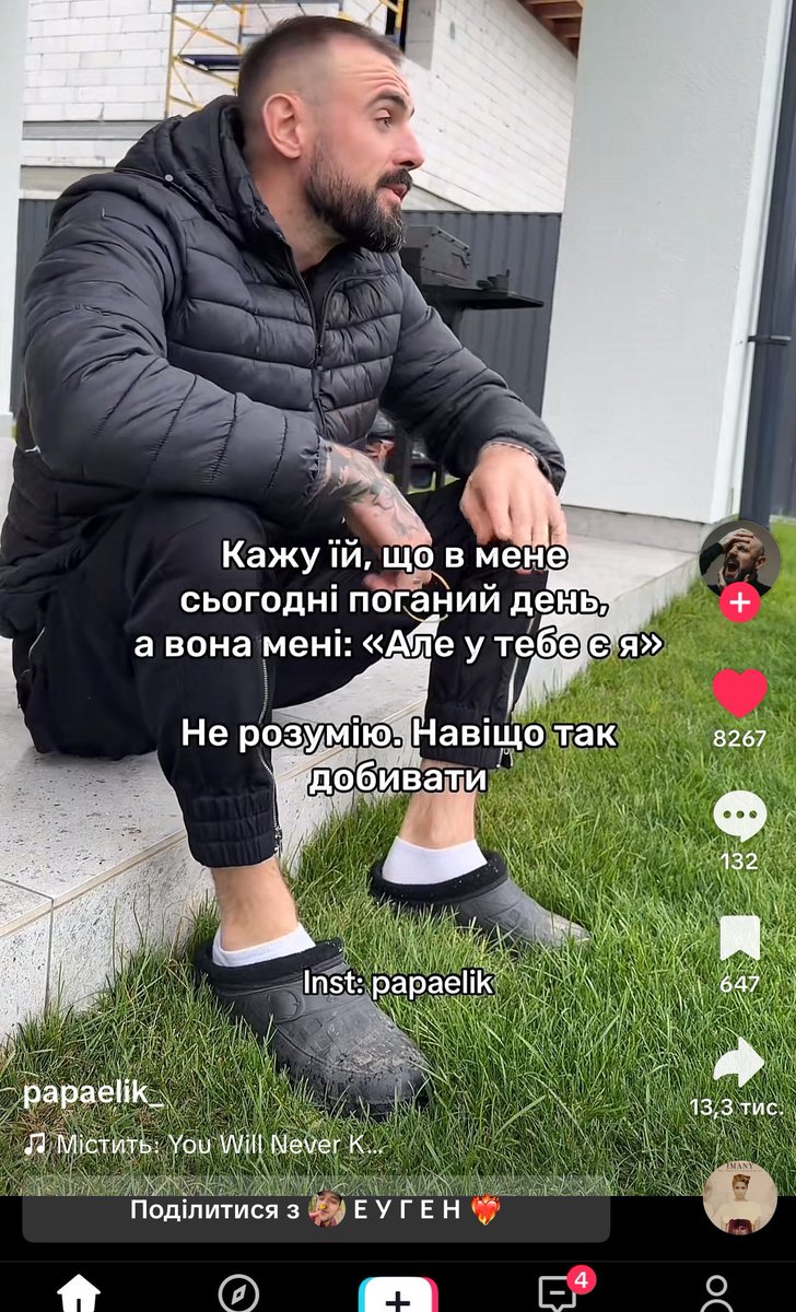 Socially awkward parrot tweet media