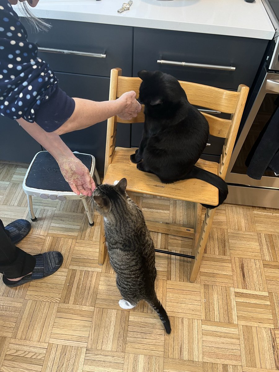 Wizbotgaming's tweet photo. @weirdlilguys Two dummies eating bread dough off my mom’s hands. https://t.co/UJmN6zooMk