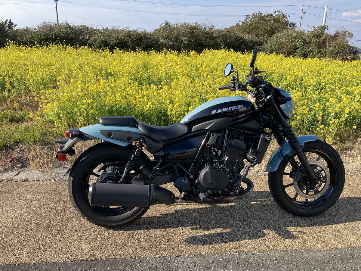 みーこ(ねぼすけ） tweet media