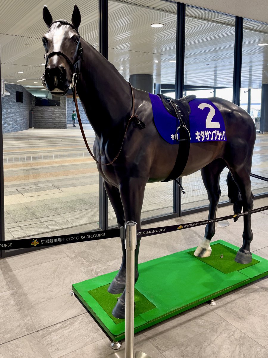 干支ターフィー 午年バージョン キタサンブラック #京都競馬場の推し風景