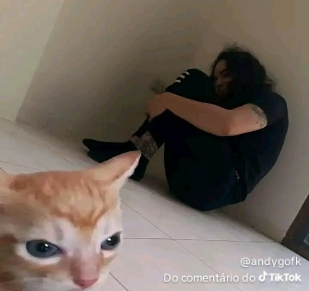 Porra, essa rede social cai mais que o caralho. Vontade de socar o Elon Musk, porque essa buceta na administração dele tá que nem a reputação dele, em decadência. #x