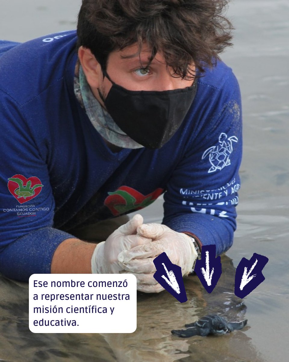 Fundación Reina Laúd tweet media