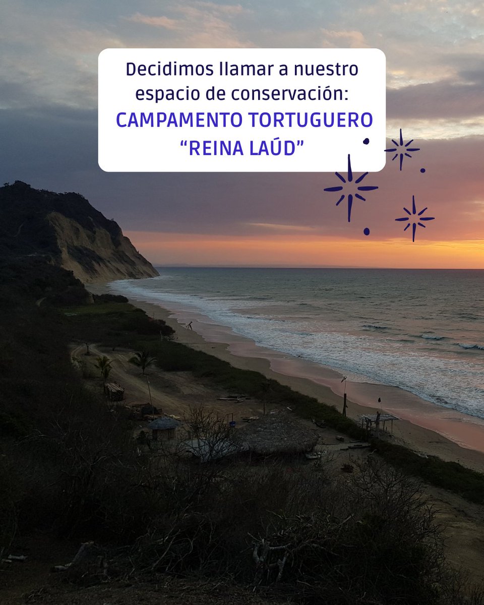 Fundación Reina Laúd tweet media