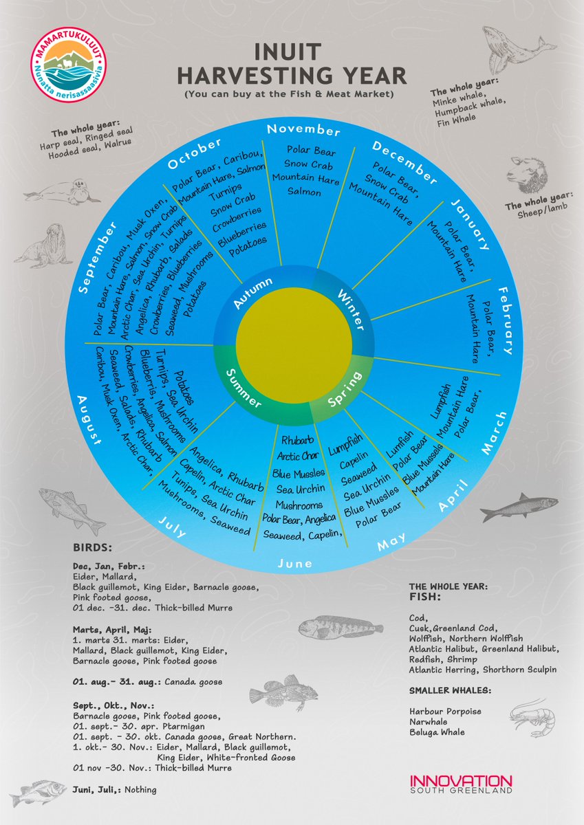 Seals, Stigma and Survival tweet media