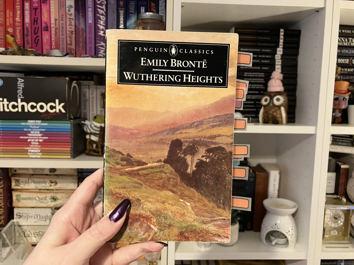 Winter 🏹 tweet media