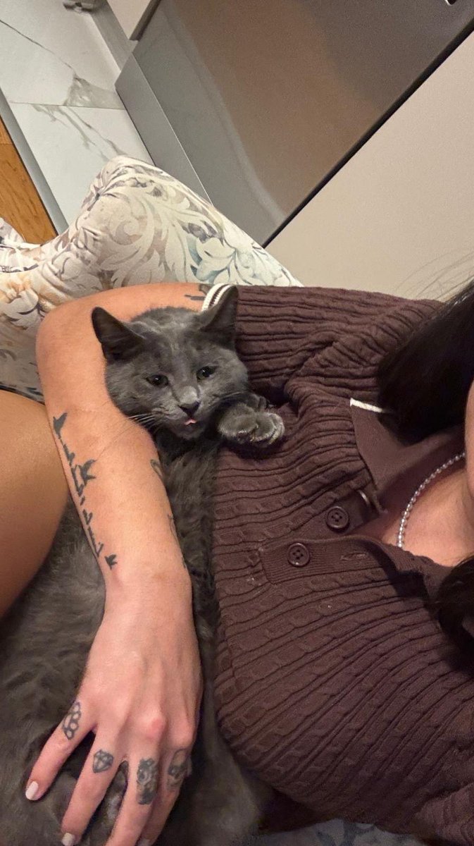 İzmir. Acil Geçici / kalıcı yuva aranıyor. Erkek, kısır değil. 10 aylık . Çok uysal sevecen bir kedo. <a href="/minkominkom/">Murat K.</a> <a href="/nesliko/">Neslihan</a> <a href="/TursuveUzum/">Turşu-Üzüm ve Çiçeeelll</a> <a href="/tursiko/">tursiko</a> <a href="/bendogurdum/">🪼Denizanası 🪼</a> <a href="/patisahiplendir/">hayvansahiplendirme</a> <a href="/simbatopiksurat/">Simba Topiksurat</a> <a href="/AnnoyedAndMoody/">Nevin</a> <a href="/melothepit/">M E L O & Kedy Kardeşleri</a> <a href="/kedyeva/">Eva Boy</a> <a href="/Esaretkopkee/">Dobby the Esaret Köpke</a> <a href="/joeyjellybeanc/">Joey The Jellybean (Jububekir) ve Tumbi Gelin</a> <a href="/Pisisavar/">Ulu Kamgal Bado ve Tombi Bacı</a>