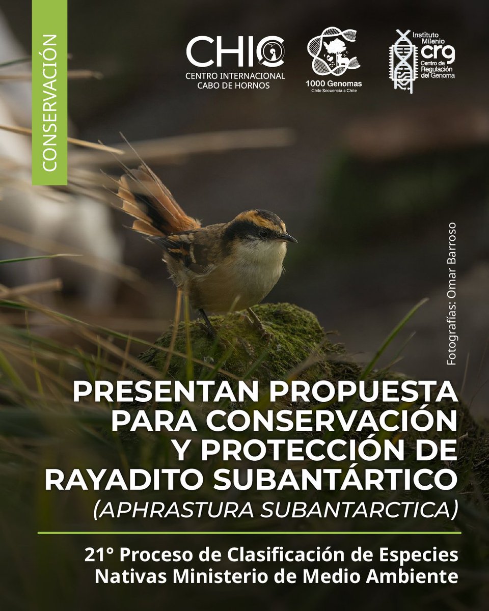 Centro Internacional Cabo de Hornos (CHIC) tweet media