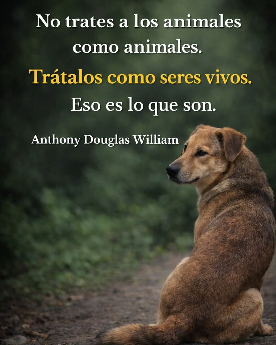 Sabueson (@sabueson) on Twitter photo 