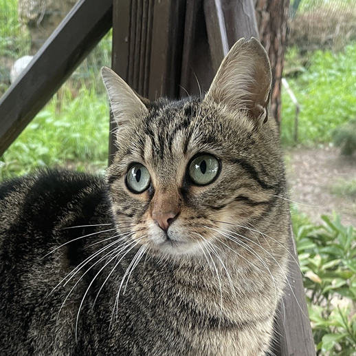 Hiş mi YUFA yokmuşdu? YUVA