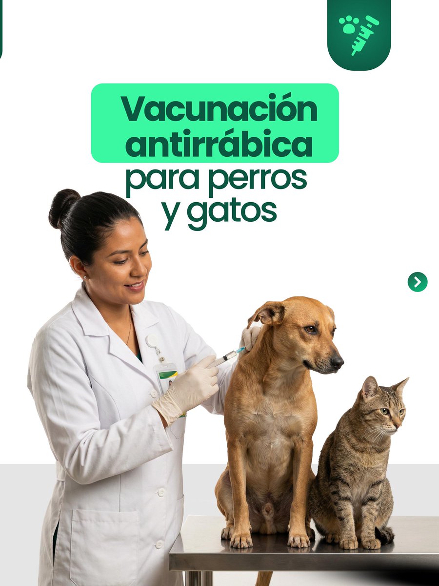 Gobernación de Antioquia tweet media