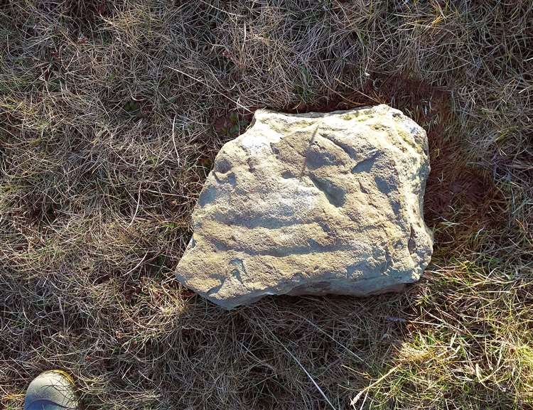 Caithness Broch Project tweet media