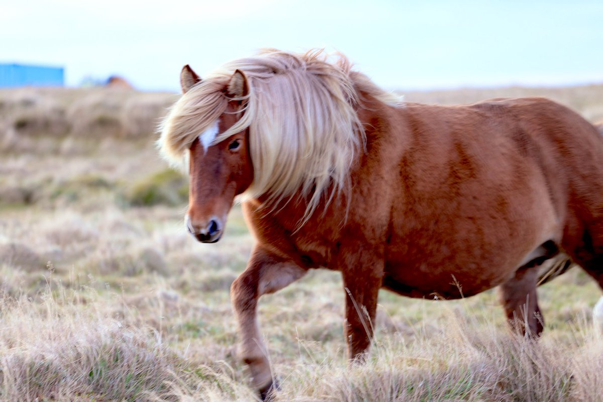 Rachel Suzanne Tien Wood tweet media