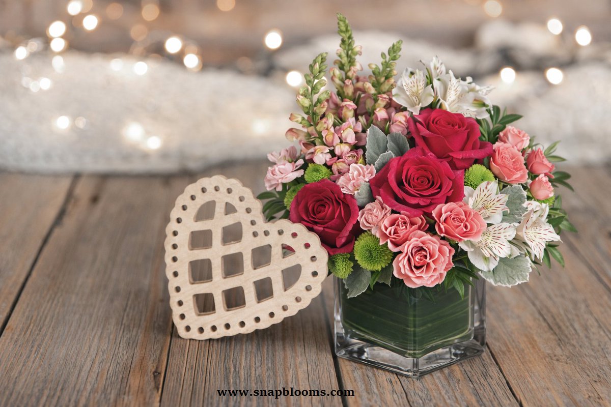 SnapBlooms's tweet photo. Valentine’s Day may pass, but love continues ❤️
Surprise them when they least expect it.
Romance doesn’t need a date.
👉 Buy flowers anytime at https://t.co/3lcRfnl5GC

#Valentines #Love #SnapBlooms #Flower https://t.co/913HmqW4ze