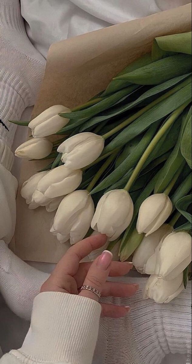tutututututulip's tweet photo. https://t.co/2IWeqpWnD3