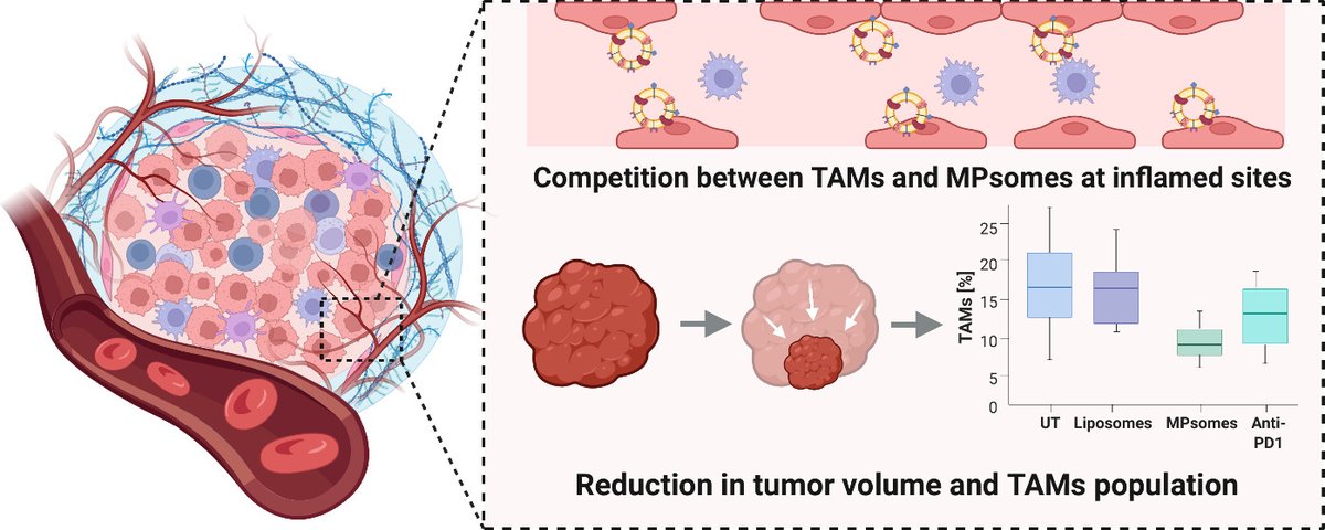 ACS Nano tweet media