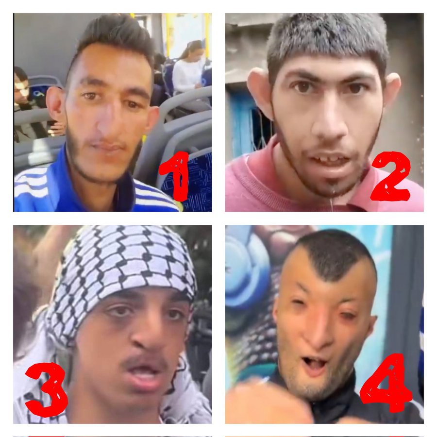 🇫🇷Maxime 🇨🇵 UNION DES DROITES ! vite tweet media