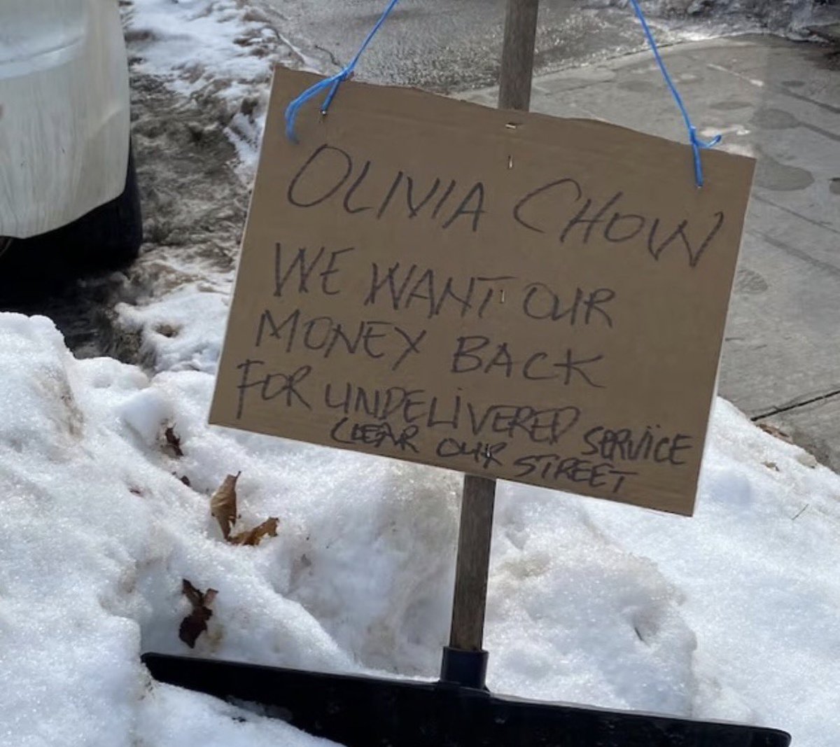 IntegrityTO tweet media