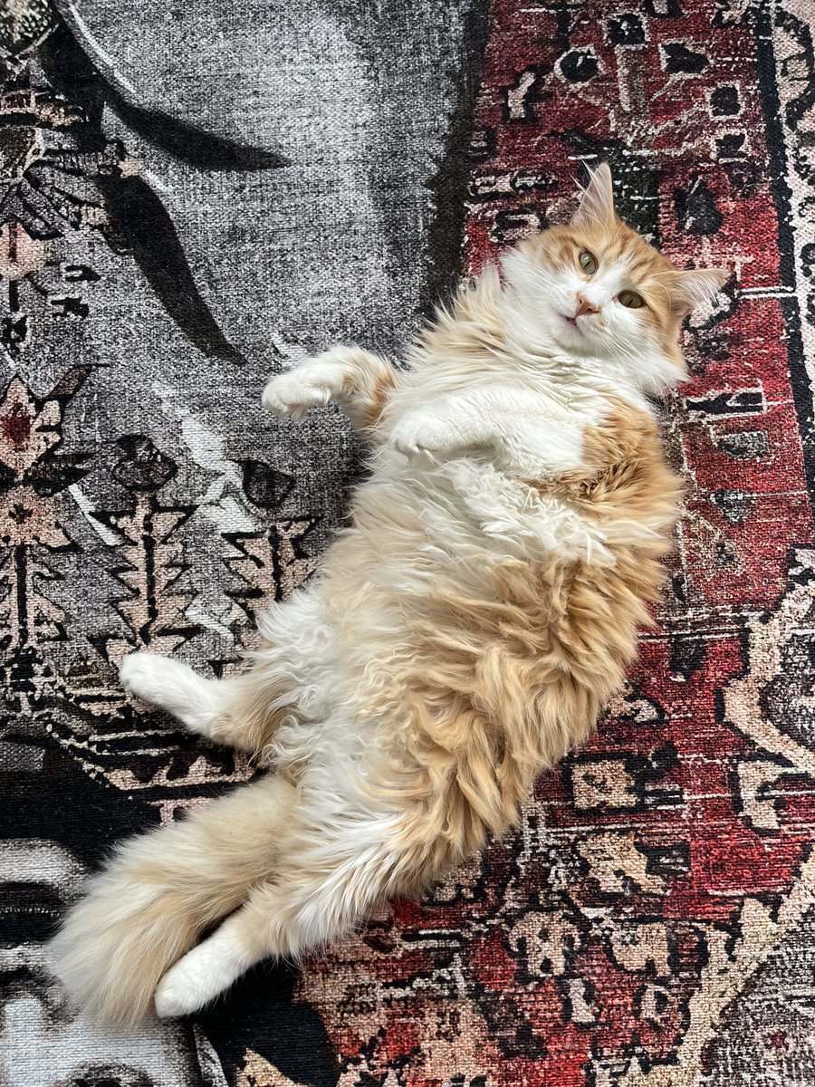 bir gün tekrar buluşacağız