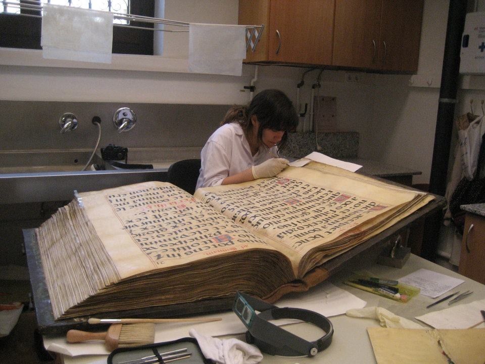 women in GLAM (Galleries, Libraries, Archives and Museums)