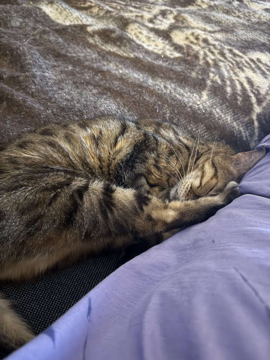 Salia sagt danke für die 87 Franken. 
Es geht ihr heute sehr gut.