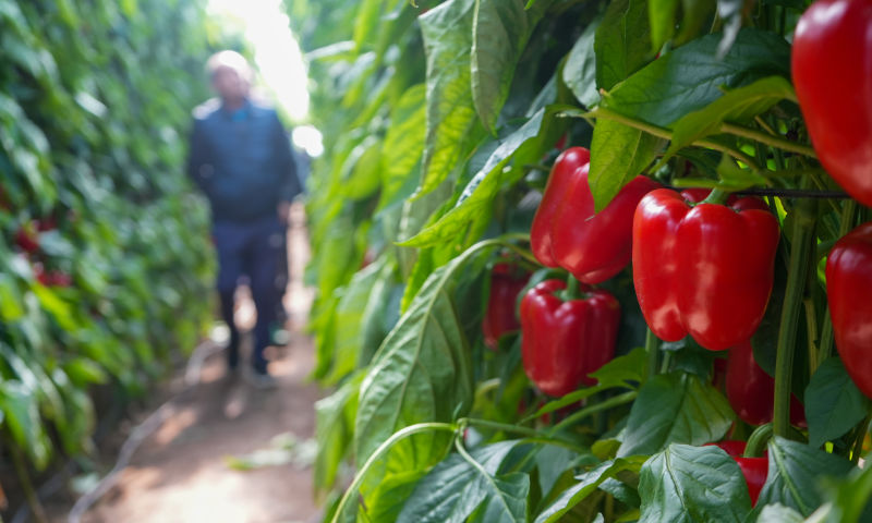 José Marín tweet media