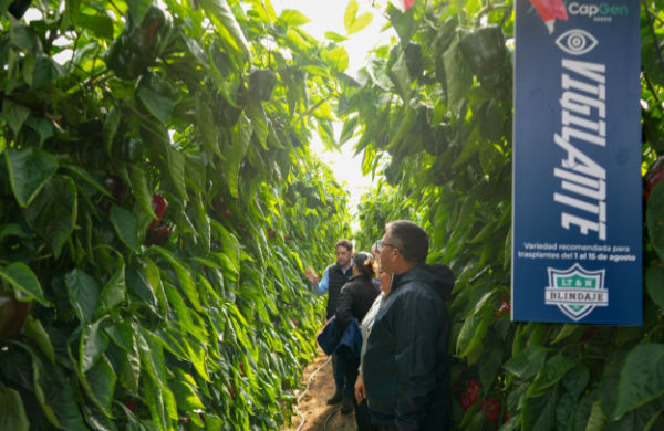 José Marín tweet media