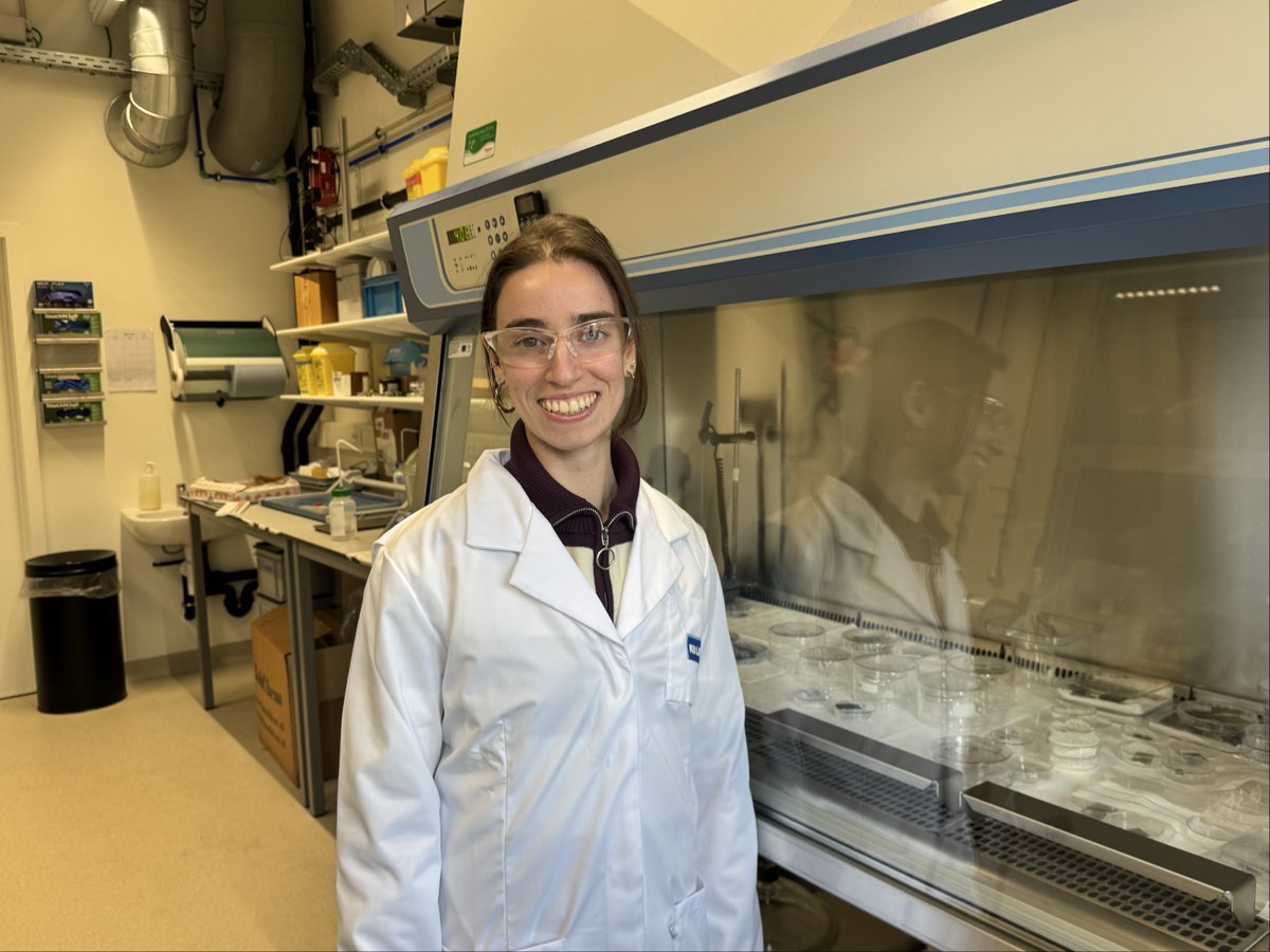 F. Molina-Lopez tweet media