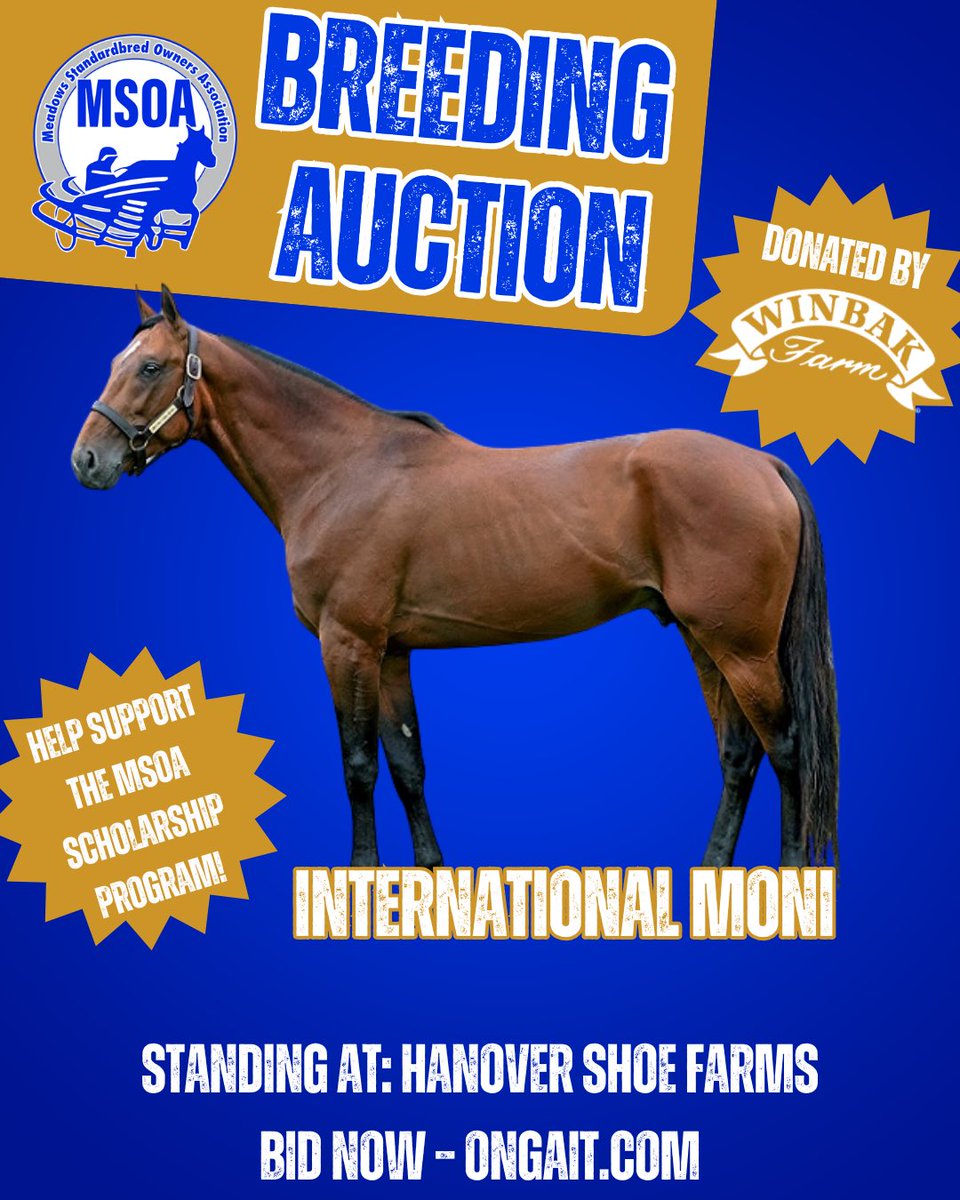 TheMSOA's tweet photo. 🔥 BREEDING AUCTION ALERT 🔥

Bid on a breeding to International Moni, generously donated by Winbak Farm. Standing at Hanover Shoe Farms, with proceeds benefiting the MSOA Scholarship Program.

Standing at Hanover Show Farms — bid now at https://t.co/sHZHVqUuYW!

#BreedingAuction #InternationalMoni #HarnessRacing #Standardbred
#MSOA