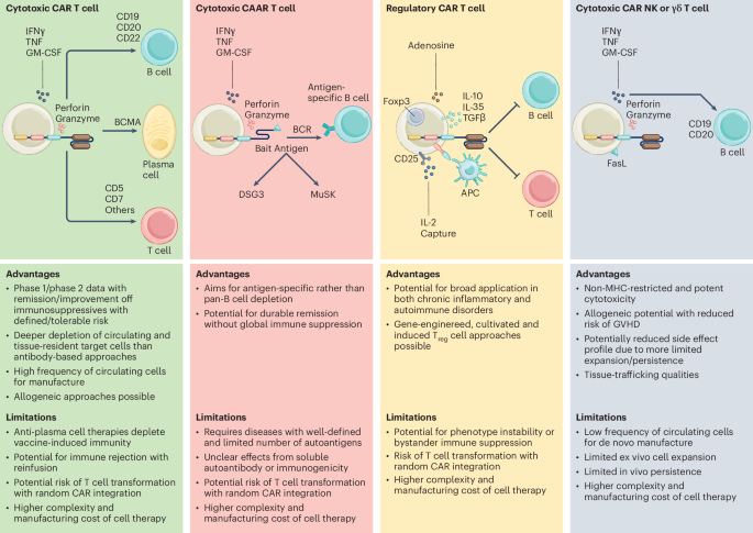 NatureBiotech's tweet photo. Clinical progress of engineered cellular immunotherapies for autoimmunity https://t.co/OWKxWZUVZz https://t.co/8YwNwDpvsF