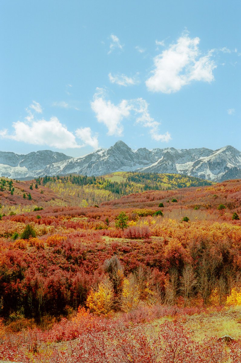 AlexKittoe's tweet image. Autumn Out West