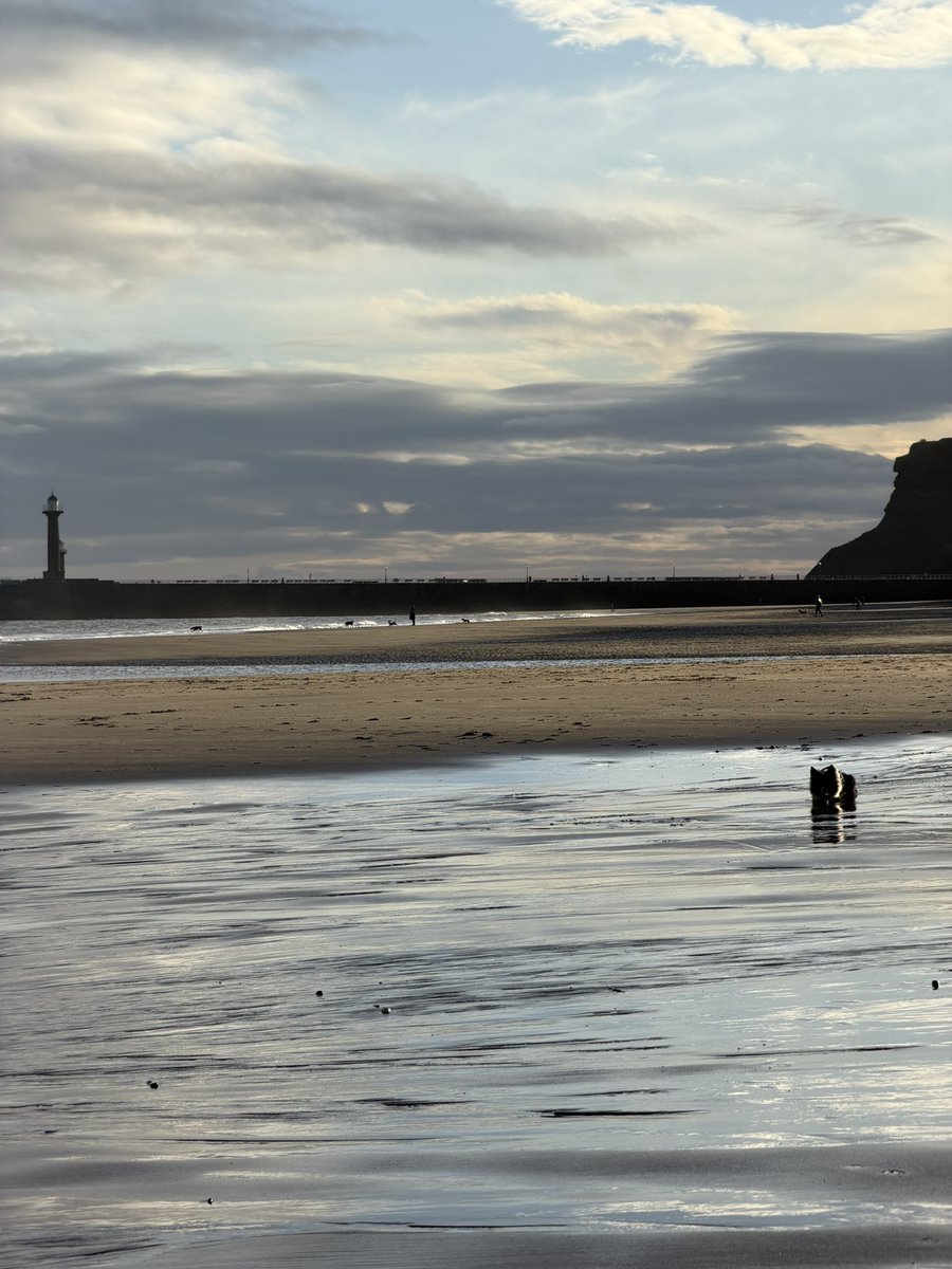 Stephen Brown tweet media