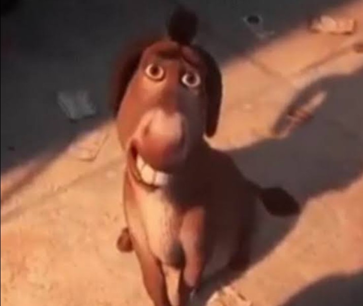 AnaSoreoDracir's tweet photo. Quando eu era adolescente, eu me achava muito feia, a ponto de chorar por isso. 

Na minha maioridade/jovem adulta, jurava que eu tinha ganhado um grow up e ficado bonitinha.

Até descobrir que até hoje, para a maioria dos homens, eu não sou considerada bonita. https://t.co/cElxwfbFuB