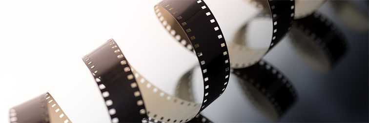 Eusko Ikaskuntza tweet media