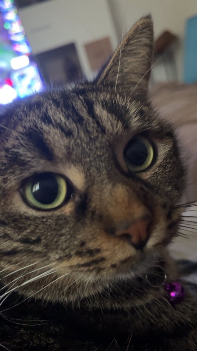 SOS | Rush tweet media