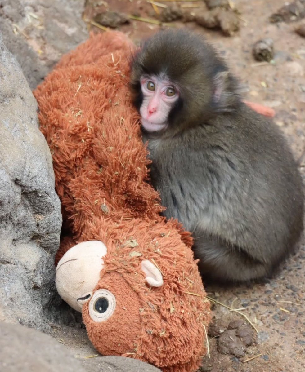 Puss🐱✨ tweet media