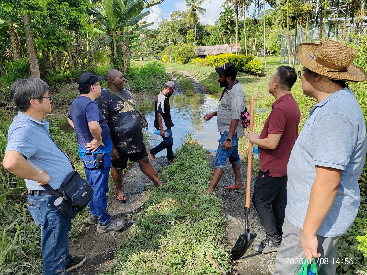 F-Soler Official | Carbon Credit NFT tweet media