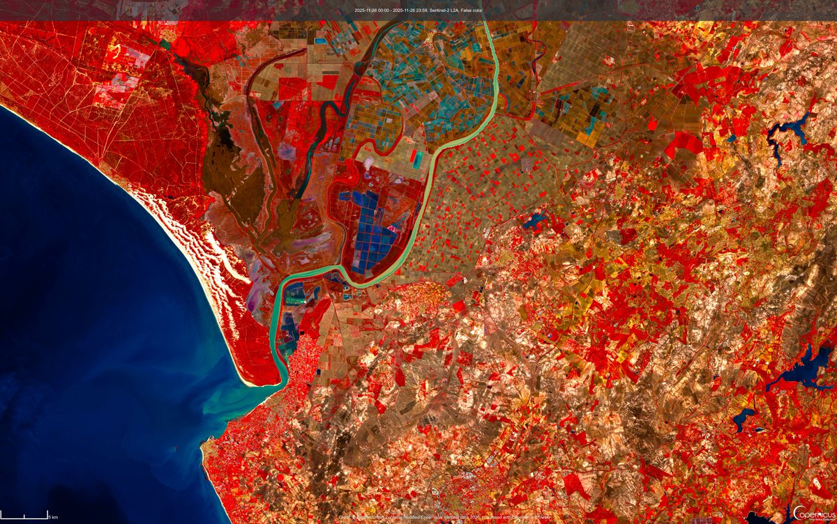 Isabel Caballero de Frutos tweet media