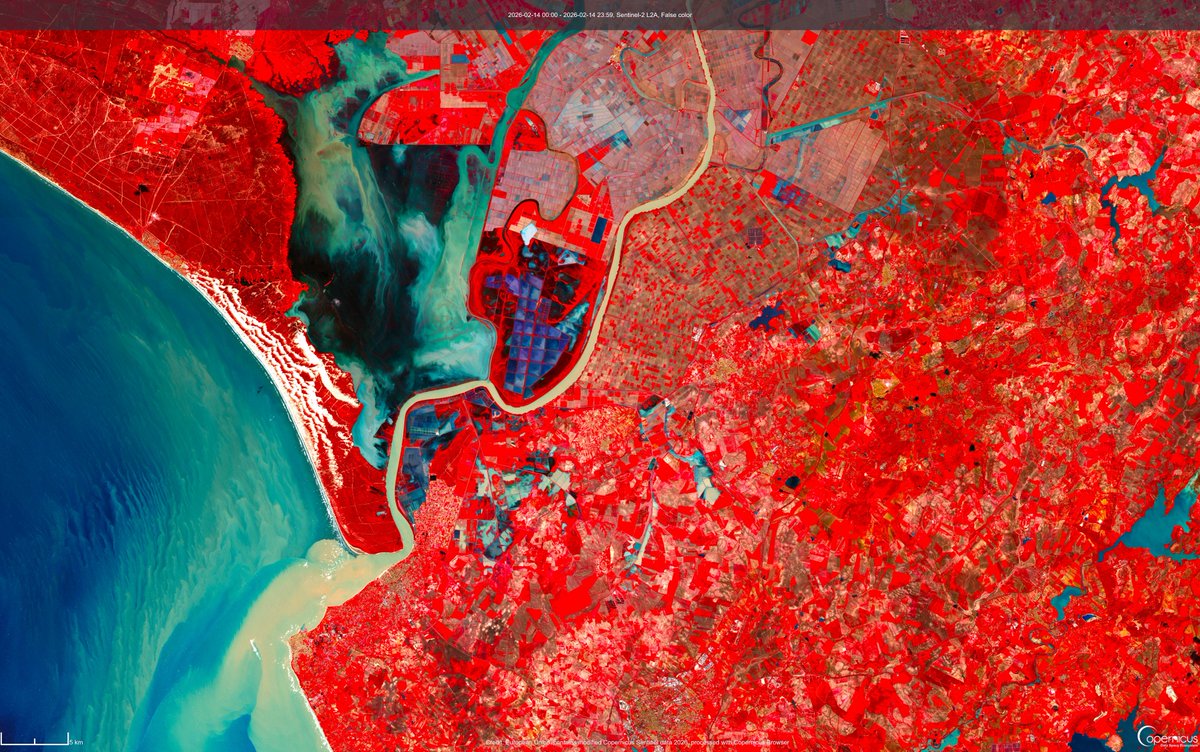 Isabel Caballero de Frutos tweet media