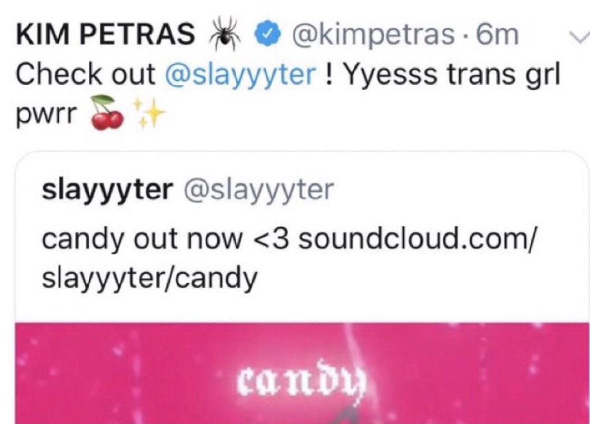 just found out that shygirl is not trans