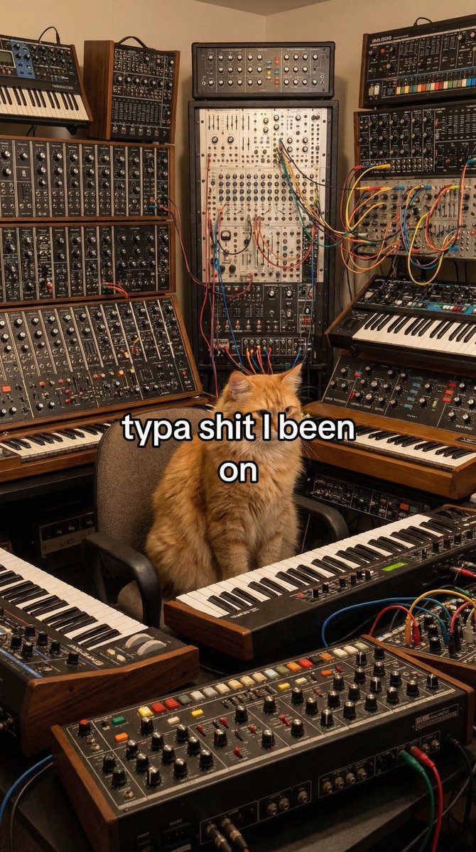Jazz Memes tweet media